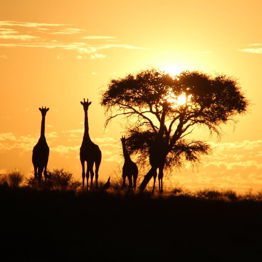 Kalahari Red Dunes Lodge Kalkrand Екстериор снимка